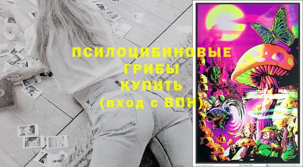 соль ск Богородицк