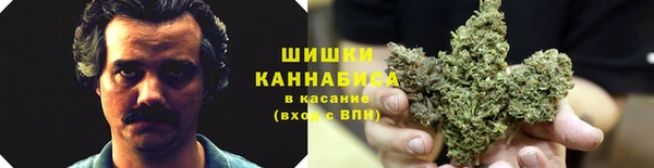 первитин Богородск