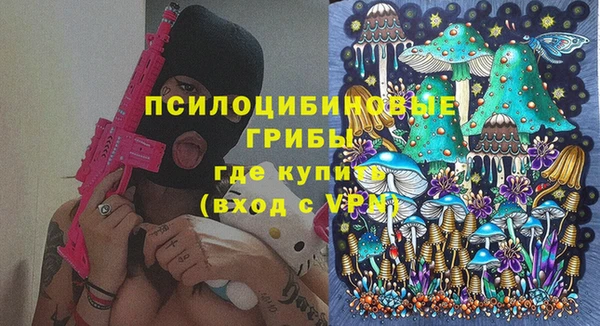 метамфетамин Богданович