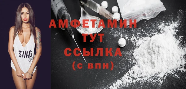 соль ск Богородицк