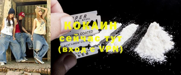 соль ск Богородицк